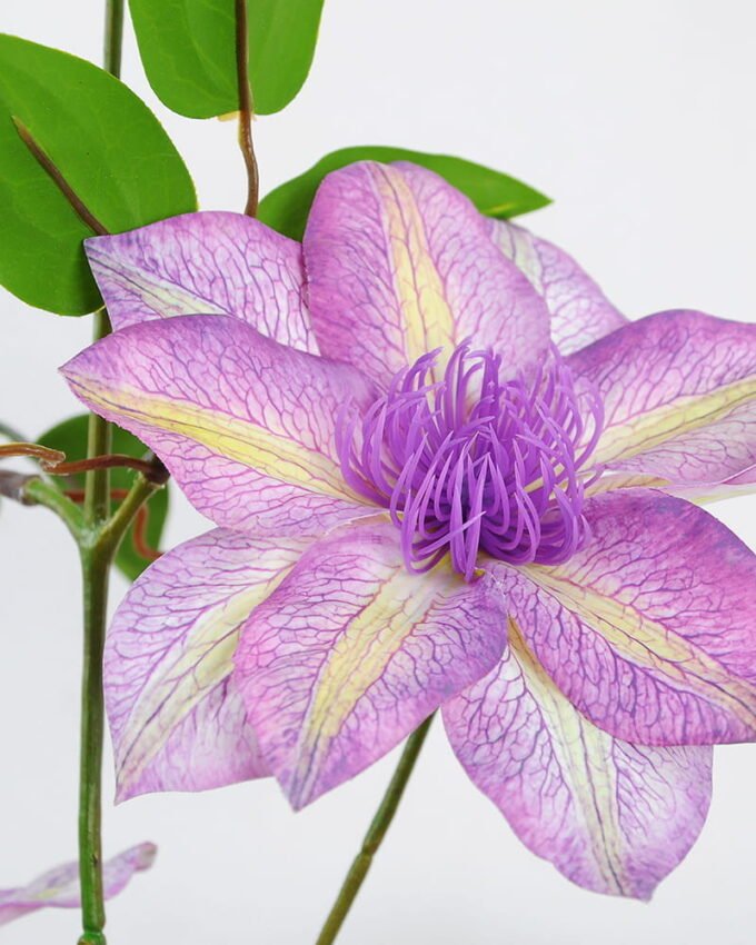 Artificial Flower 22*86cm Clematis florida thunb*3 GS-15421001-Z2
