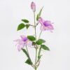 Artificial Flower 22*86cm Clematis florida thunb*3 GS-15421001-Z2