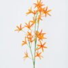 Artificial Flower Coelogyne cristata GS-62121002-O1_4 Artificial Flower 15*73cm Coelogyne cristata GS-62121002-O1