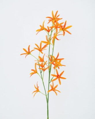 Artificial Flower 15*73cm Coelogyne cristata GS-62121002-O1 Single Flowers YeahFlower is one of Chinese leading OEM manufacturers and exporters , supplying the silk flowers, wholesale artificial trees Artificial Flower 15*73cm Coelogyne cristata GS-62121002-O1