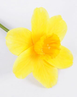 Artificial Flower 9.5*40CM Daffodil GS-15421007 Single Flowers YeahFlower is one of Chinese leading OEM manufacturers and exporters , supplying the silk flowers, wholesale artificial trees Artificial Flower 9.5*40CM Daffodil GS-15421007