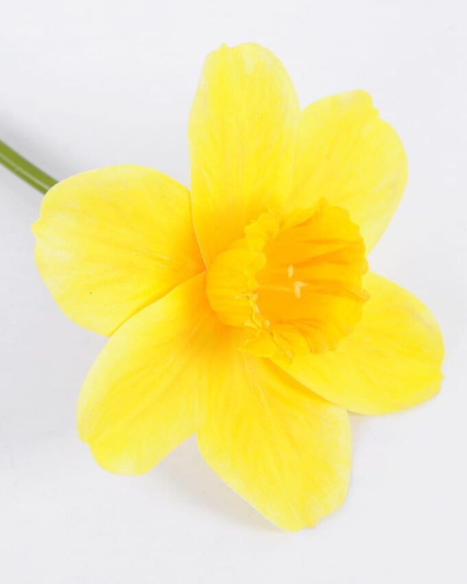 Artificial Flower 9.5*40CM Daffodil GS-15421007