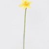 Artificial Flower 9.5*40CM Daffodil GS-15421007