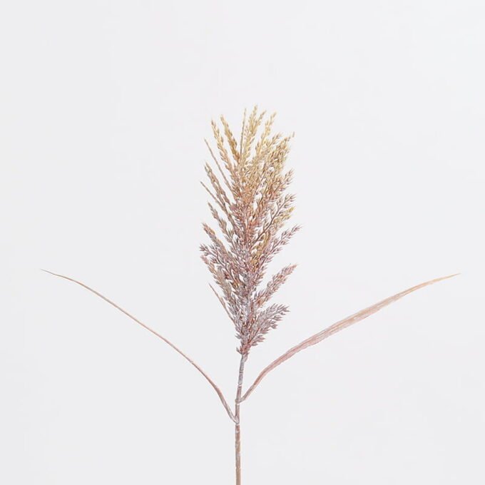 Artificial Flower 10*65CM Reeds GS-58821020