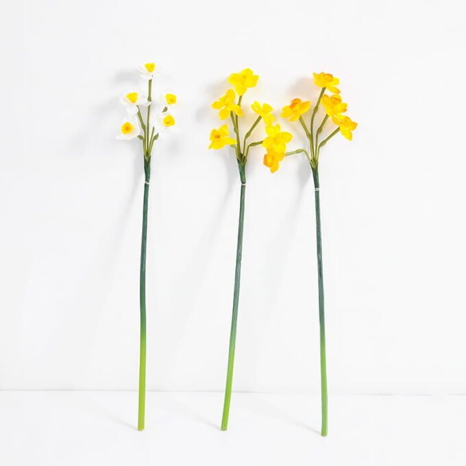 Artificial Flower 10*51CM Singel Daffodil GS-41521001-O1