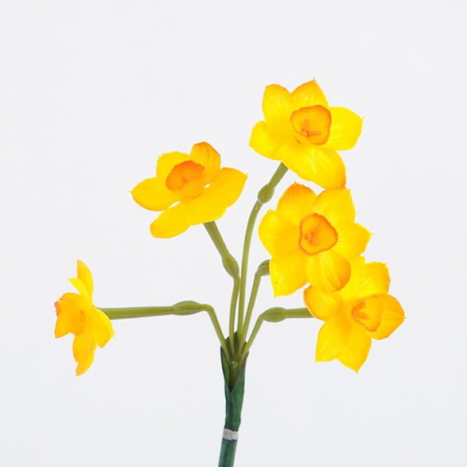 Artificial Flower 10*51CM Singel Daffodil GS-41521001-O1