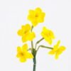 Artificial Flower Singel Daffodil GS-41521001-Y1_1 Artificial Flower 10*51CM Singel Daffodil GS-41521001-Y1