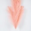 Artificial Flower 9*95CM Singel Reed*7 GS-61921001