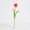 Artificial Flower 5*39CM Singel Tulip GS-41521002-O1