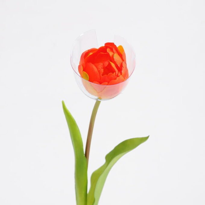 Artificial Flower 5*39CM Singel Tulip GS-41521002-O1