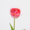 Artificial Flower 5*39CM Singel Tulip GS-41521002-P2