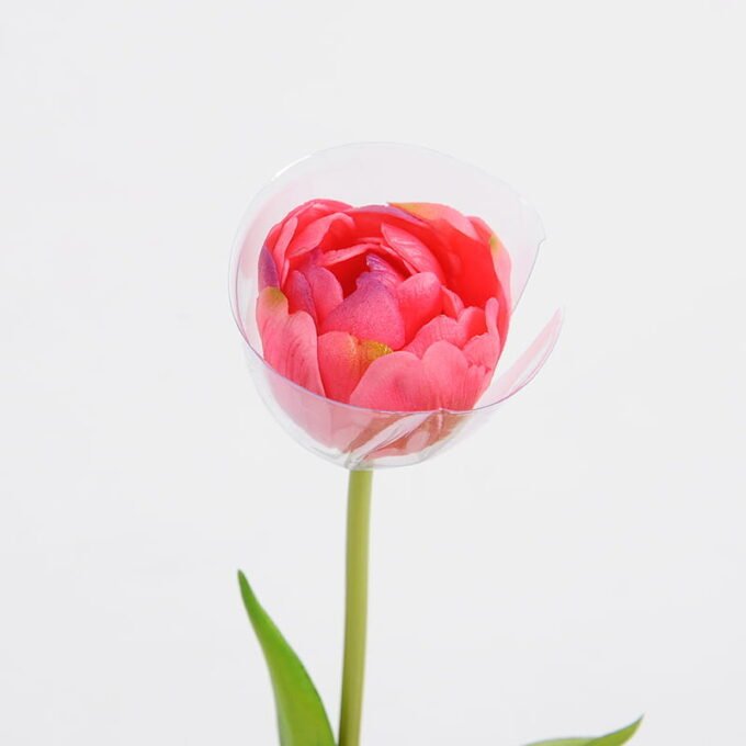 Artificial Flower 5*39CM Singel Tulip GS-41521002-P2