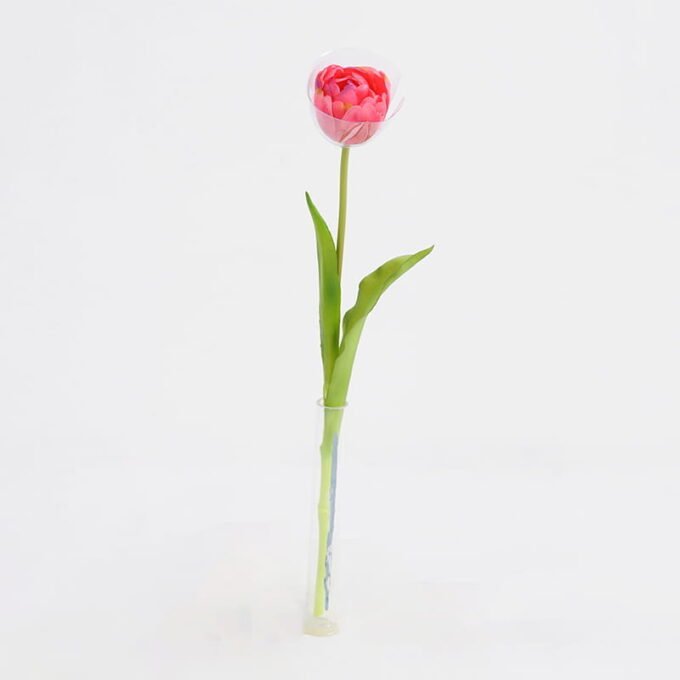 Artificial Flower 5*39CM Singel Tulip GS-41521002-P2