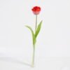 Artificial Flower 5*39CM Singel Tulip GS-41521002-R1