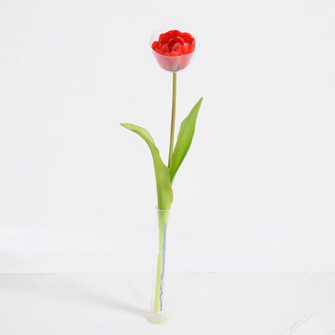 Artificial Flower 5*39CM Singel Tulip GS-41521002-R1