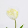 Artificial Flower 5*39CM Singel Tulip GS-41521002-W1