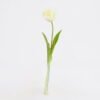 Artificial Flower 5*39CM Singel Tulip GS-41521002-W1