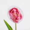 Artificial Flower 5*39CM Singel Tulip GS-41521002-Z1
