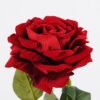 Artificial Flower 16*76CM Single  rose GS-4650004-R1