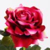 Artificial Flower 16*76CM Single  rose GS-4650004-R2