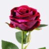 Artificial Flower 12*50cm Single rose GS-46521005-R4
