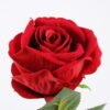 Artificial Flower Single rose GS-46521006-R2_1 Artificial Flower 12*51cm Single rose GS-46521006-R2