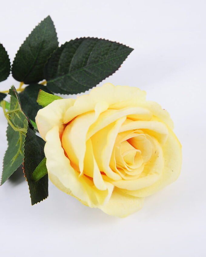 Artificial Flower 12*51cm Single rose GS-46521006-Y2