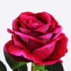 Artificial Flower Single rose GS-46521007-R5 Artificial Flower 16*75cm Single rose GS-46521007-R5