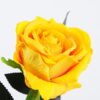 Artificial Flower 16*75cm Single rose GS-46521007-Y1