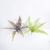 Artificial Plant 25*41CM Fern bush GS-58821048