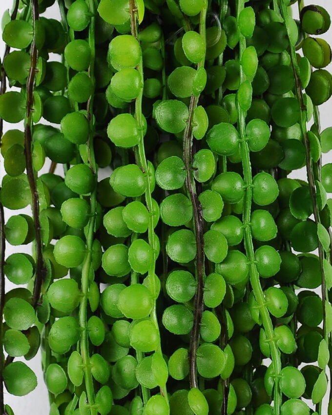 Artificial Plant 20*75cm Garland GS-4720012