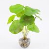 Artificial Plant 22*28cm Lotus leaves in glass ware GS-06921026