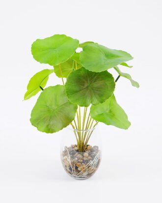 Artificial Plant 22*28cm Lotus leaves in glass ware GS-06921026 Potted Flowers&Plants YeahFlower is one of Chinese leading OEM manufacturers and exporters , supplying the silk flowers, wholesale artificial trees Artificial Plant 22*28cm Lotus leaves in glass ware GS-06921026
