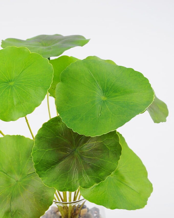 Artificial Plant 22*28cm Lotus leaves in glass ware GS-06921026