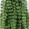 Artificial Plant 13*66CM Succulent Plants GS-57620006-G2