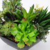 Artificial succulent 17*18*19CM Succulent plants in plastic pot GS-51720211