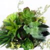 Artificial succulent 17*18*19CM Succulent plants in plastic pot GS-51720211