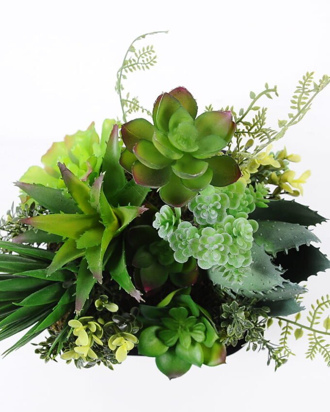 Artificial succulent 17*18*19CM Succulent plants in plastic pot GS-51720211