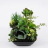 Artificial succulent 17*18*19CM Succulent plants in plastic pot GS-51720211