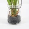 Artificial Flower 13*18CM Bellflower in glass pot GS-62921027 Potted Flowers&Plants 3,000+ sqm showroom with thousands of artificial flowers, plants & trees ready for global sourcing.