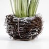 Artificial Flower 15*21CM Bellflower in rattan pot GS-62921029 Potted Flowers&Plants 3,000+ sqm showroom with thousands of artificial flowers, plants & trees ready for global sourcing.