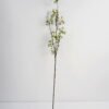 Artificial Flower 10*95CM Berry GS-39121006 Single Flowers YeahFlower is one of Chinese leading OEM manufacturers and exporters , supplying the silk flowers, wholesale artificial trees