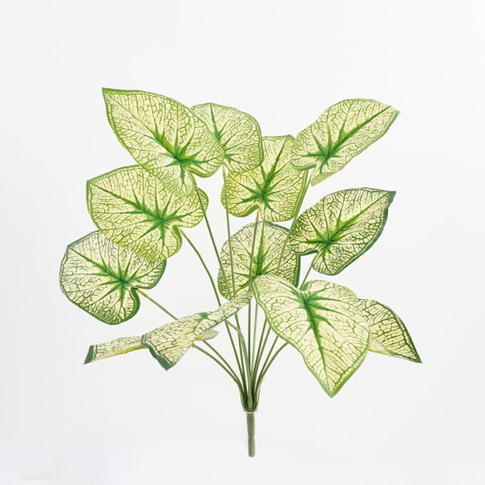 Artificial-Flower-Big-leaf-bush-x12-GS-36021005_1-1.jpg Artificial Flower 33*54CM Big leaf bush x12 GS-36021005 WREATH YeahFlower is one of Chinese leading OEM manufacturers and exporters , supplying the silk flowers, wholesale artificial trees