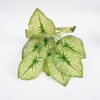 Artificial-Flower-Big-leaf-bush-x12-GS-36021005_3-1.jpg Artificial Flower 33*54CM Big leaf bush x12 GS-36021005 WREATH YeahFlower is one of Chinese leading OEM manufacturers and exporters , supplying the silk flowers, wholesale artificial trees