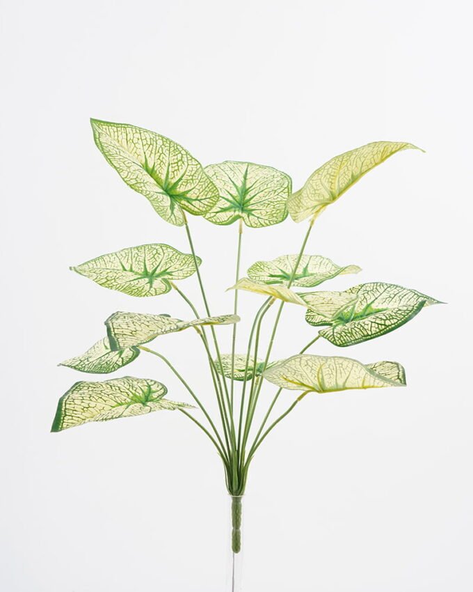 Artificial-Flower-Big-leaf-bush-x12-GS-36121005_1-1.jpg Artificial Flower 33*54CM Big leaf bush x12 GS-36021005 WREATH YeahFlower is one of Chinese leading OEM manufacturers and exporters , supplying the silk flowers, wholesale artificial trees