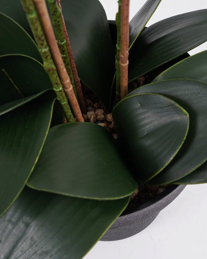 Artificial Flower 45*32*61CM Butterfly ochid in pp pot GS-15421018 Potted Flowers&Plants YeahFlower is one of Chinese leading OEM manufacturers and exporters , supplying the silk flowers, wholesale artificial trees