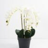 Artificial Flower 45*32*61CM Butterfly ochid in pp pot GS-15421018 Potted Flowers&Plants YeahFlower is one of Chinese leading OEM manufacturers and exporters , supplying the silk flowers, wholesale artificial trees