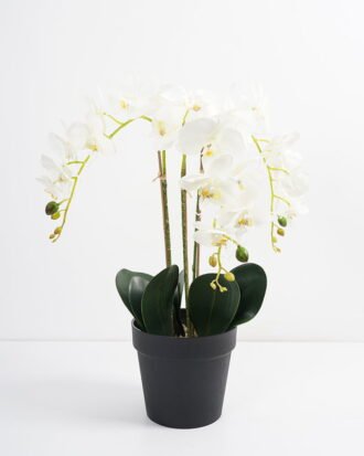 Artificial Flower 45*32*61CM Butterfly ochid in pp pot GS-15421018 Potted Flowers&Plants YeahFlower is one of Chinese leading OEM manufacturers and exporters , supplying the silk flowers, wholesale artificial trees