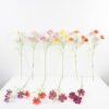 Artificial-Flower-Cosmos-3-GS-44321012-O1_6-1.jpg Artificial Flower 17*71CM Cosmos*3 GS-44321012-O1 Single Flowers YeahFlower is one of Chinese leading OEM manufacturers and exporters , supplying the silk flowers, wholesale artificial trees