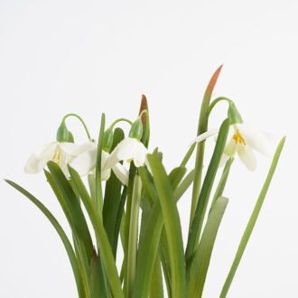 Artificial Flower 15*22CM Cymbidium in ceramic pot GS-62921024 Potted Flowers&Plants YeahFlower is one of Chinese leading OEM manufacturers and exporters , supplying the silk flowers, wholesale artificial trees